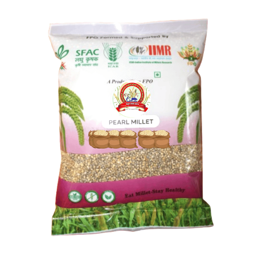 Premium Pearl Millet (Bajra) - Wholesome & Nutritious Grain view 2