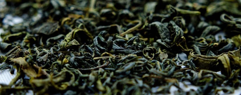 GREEN TEA view 3