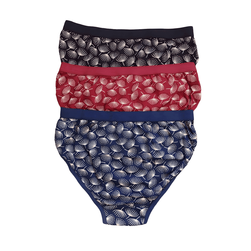 Maxolity® Women Panty Combo Hipster Innerwear Soft Stretchable Panties multicolour, Comfortable panties for women & Girl Cotton pack of 3 view 2