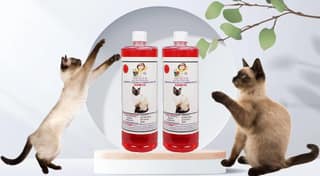 Swacch Shampoo Specially Formulated for Siamese Cat (1 Litre) (Pack of 2) Jasmine