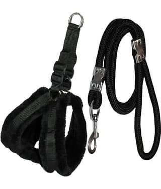 Petshop7 - Black Dog Combo (Medium)