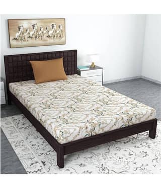 DIVINE CASA Cotton Single Bedsheet ( Beige )