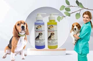 SWACCH Premium Shampoo for Beagle (200ML) (Pack of 2) Lavender, Lemon