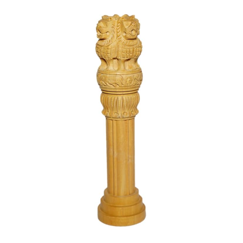 ASHOKA PILLAR 8