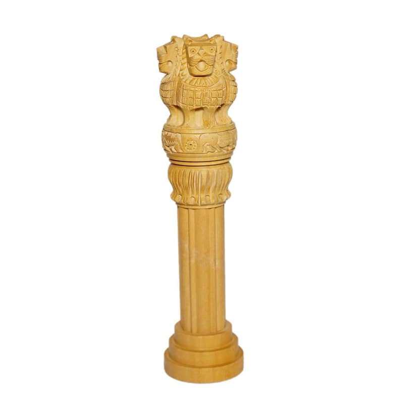 ASHOKA PILLAR 8 view 2
