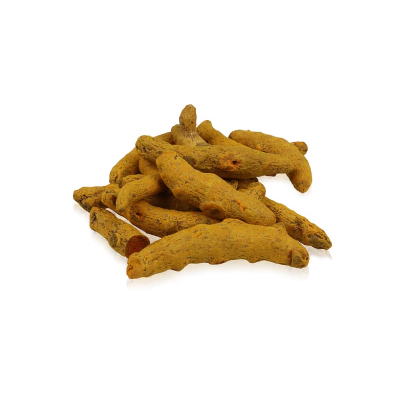 Giri Turmeric Finger | Haldi | Yellow Colour | Manjal for Pooja 100 gram in Medium Size