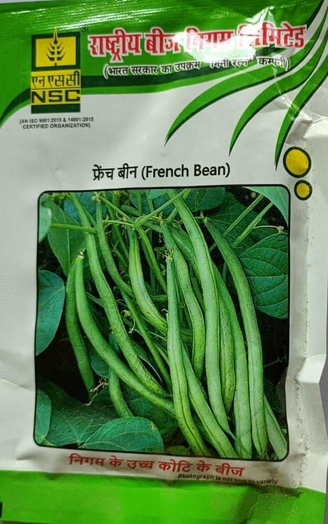 NSC French Bean Seeds - Premium Quality Vegetable Seeds view 2