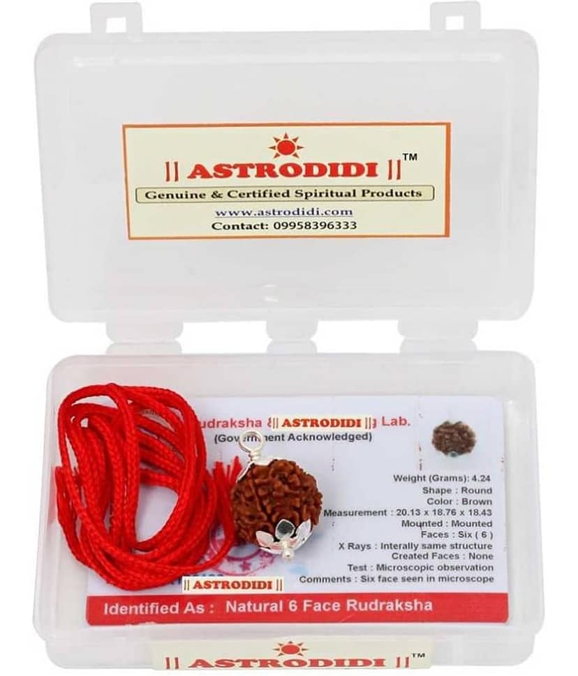 Astrodidi 6 Mukhi Rudraksha Silver Pendant With Lab Certificate view 2