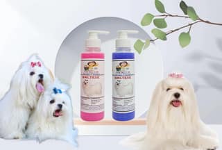SWACCH Premium Shampoo for Maltese (200ML) (Combo Pack of 2) Rose & Lavender