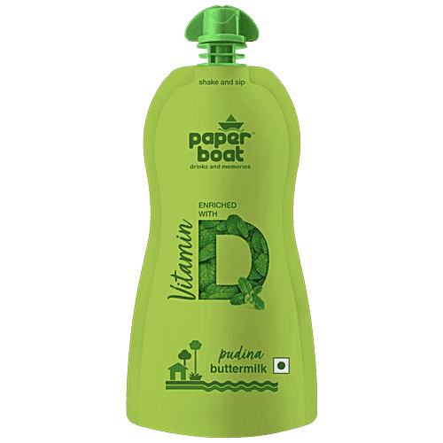 Paper Boat Pudina Buttermilk, 250 ml