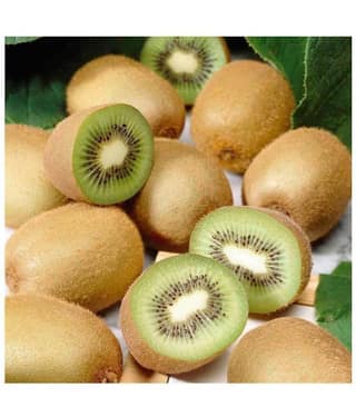 Royal Paradise Gardenn Kiwi Fruit Plant Seeds - Pack of 25