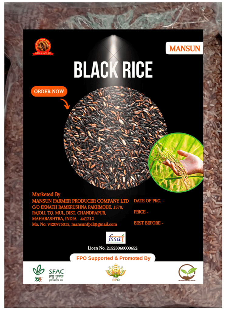 Black Rice view 2