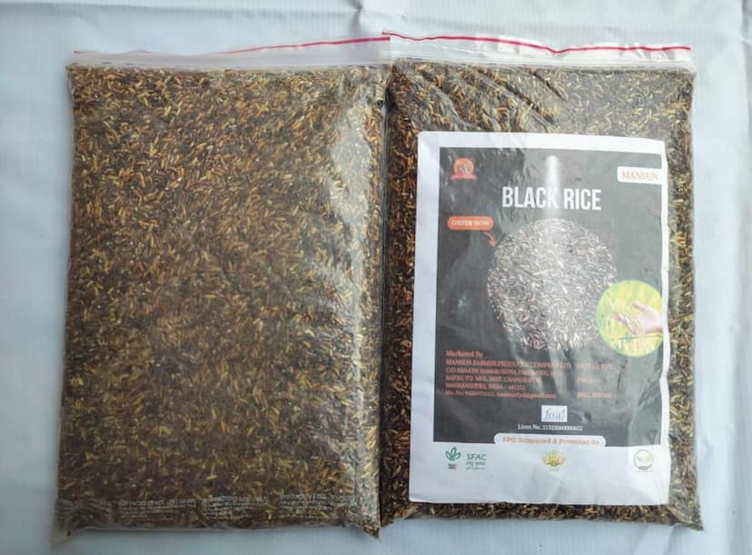 Black Rice view 3
