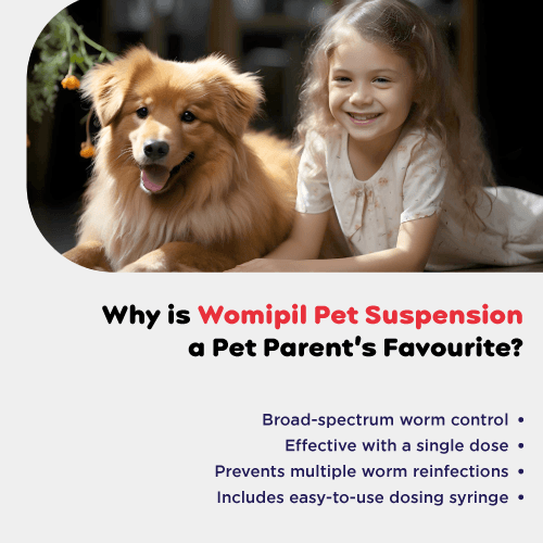 Womipil Pet Suspension view 2