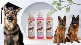 SWACCH Premium Shampoo for German Shepherd (200ML) (Combo Pack of 3) Jasmine, Rose & Strawberry