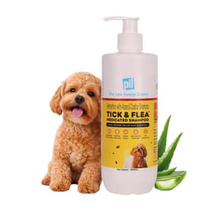 Tick And Flea Dog Shampoo - 1000ml