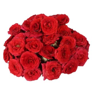 Assorted Roses 100 gms