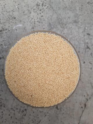 Rajgira Amaranth Seeds (Sortex Cleaned) | Naturally Gluten-Free | Healthy Cooking & Fasting