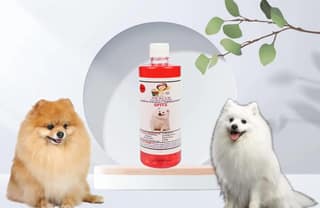 Swacch Shampoo Specially Formulated for Spitz (500ml) Jasmine