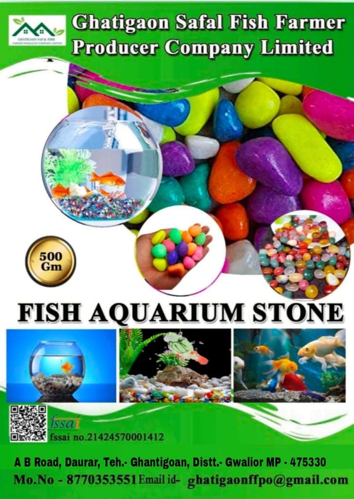 Fish aquarium stone view 3
