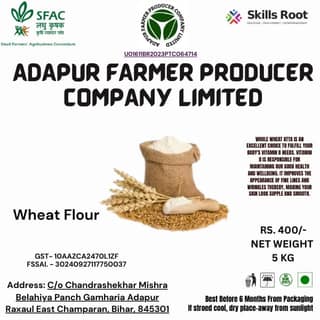 Wheat Flour