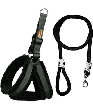 Petshop7 - Black Dog Combo (X-Large)