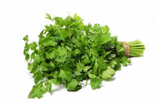 Coriander-Dhaniya Patta | 1 Bundle