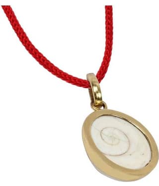 Astrodidi Gomti Chakra Panchdhatu Locket