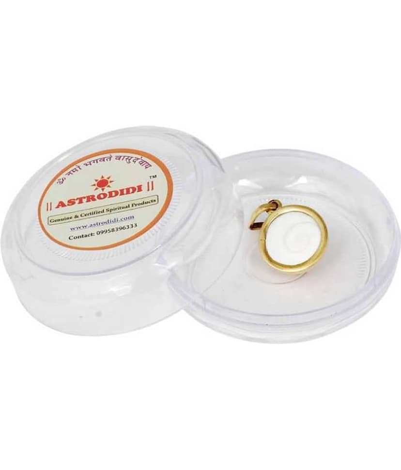 Astrodidi Gomti Chakra Panchdhatu Locket view 2