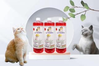 SWACCH CAT Shampoo (1 litre) (Combo Pack of 3) Strawberry