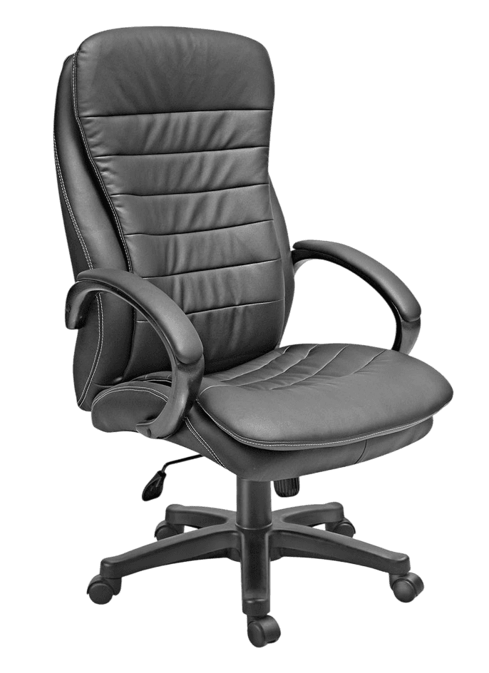 Kantva Premium High Back Executive Office Chair with Cushioned Seat and Swivel Wheels view 3