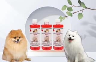 Swacch Shampoo Specially Formulated for Spitz (500ml) (Combo Pack of 3) Strawberry
