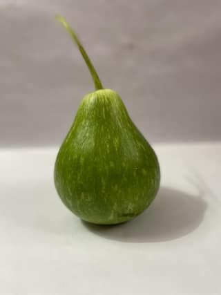 Bottle Gourd