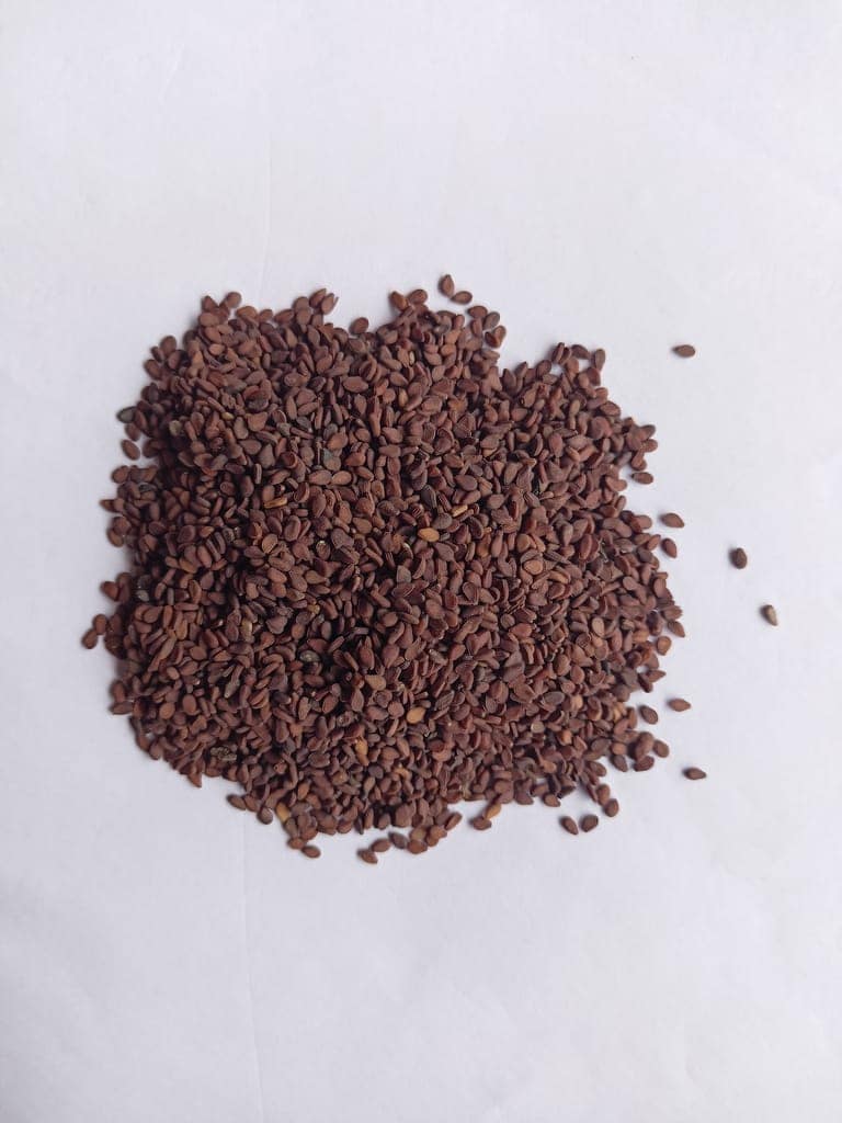Red Sesame/ 1kg view 2