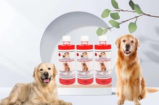SWACCH Shampoo Specially FORMULATED for Golden Retriever (500ML) (Pack of 3) Jasmine