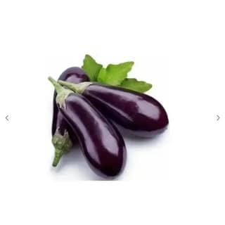 Brinjal - Bharta (Big) 1 Kg