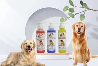 SWACCH Premium Shampoo for Golden Retriever (200ML) (Combo Pack of 3) Jasmine, Lavender & Lemon