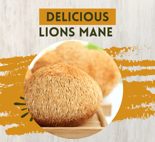 Dried Lion's Mane Mushroom 50 gm