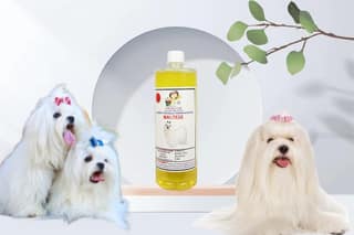 Shampoo Specially Formulated for Lemon (Maltese 1 Litre)