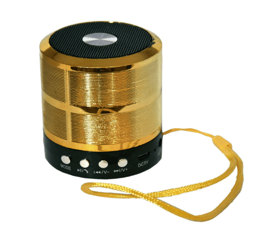 Mini Bluetooth Speaker with FM Radio, USB Pen Drive Slot and Memory Card Slot, AUX Input