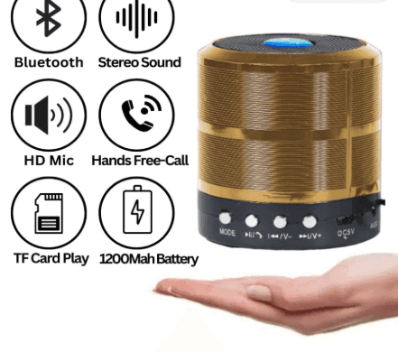 Mini Bluetooth Speaker with FM Radio, USB Pen Drive Slot and Memory Card Slot, AUX Input view 4