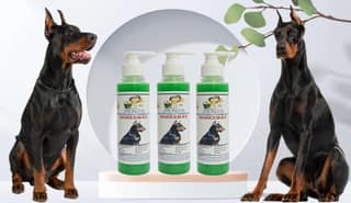 SWACCH Premium Shampoo for Doberman (200ML) (Pack of 3) NEEM ALOVERA