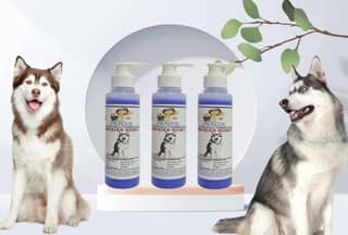 SWACCH Premium Shampoo for Siberian Husky (200ML) (Pack of 3) Lavender