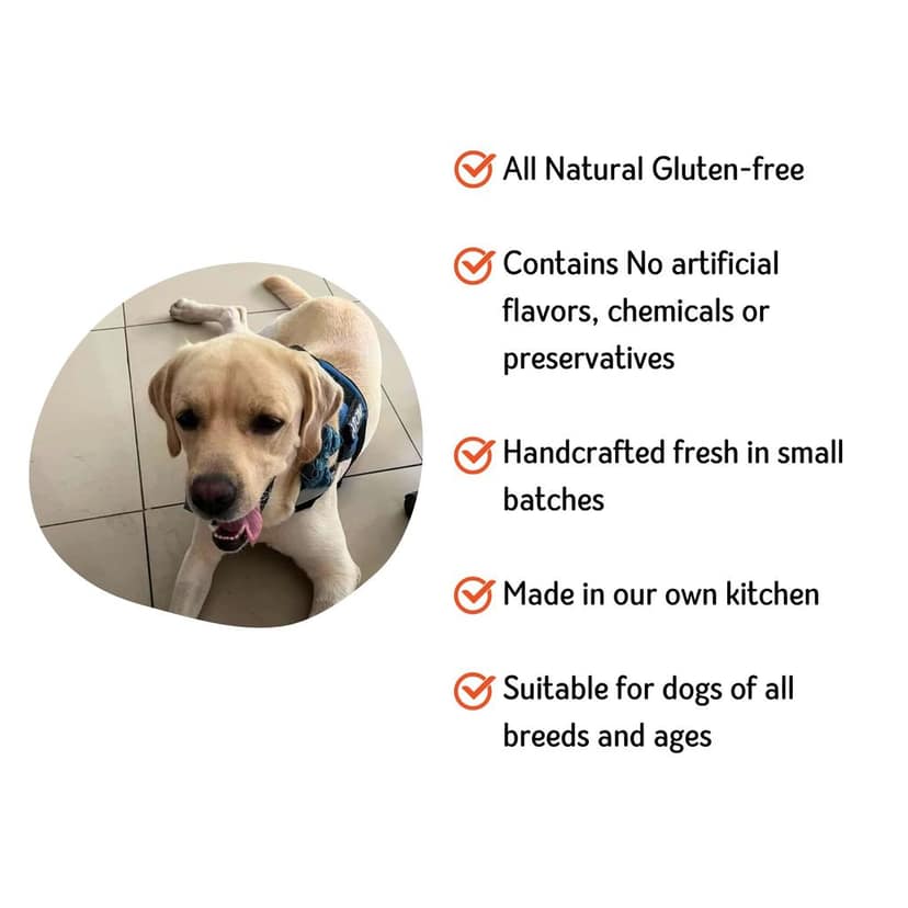 Nuts over Mutts Dehydrated Chicken Jerky. Single Ingredient Treat Chicken Breast only. Crispy, All-Natural, no preservatives, no Chemicals. 1 Pack (100 gm) view 4