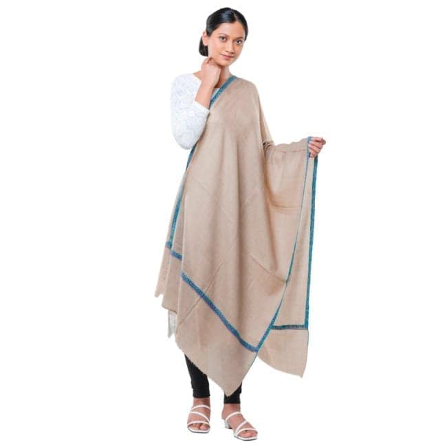 Handwoven Pashmina Stole\t1TTXGENCH12721_BROWN view 2