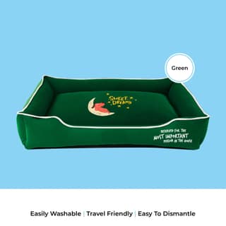CAPTAIN ZACK- DREAM BEDZZZ GREEN (M-L)