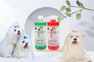 Swacch Shampoo Specially Formulated for Maltese (500ML) (Combo Pack of 2) Neem Alovera & Strawberry