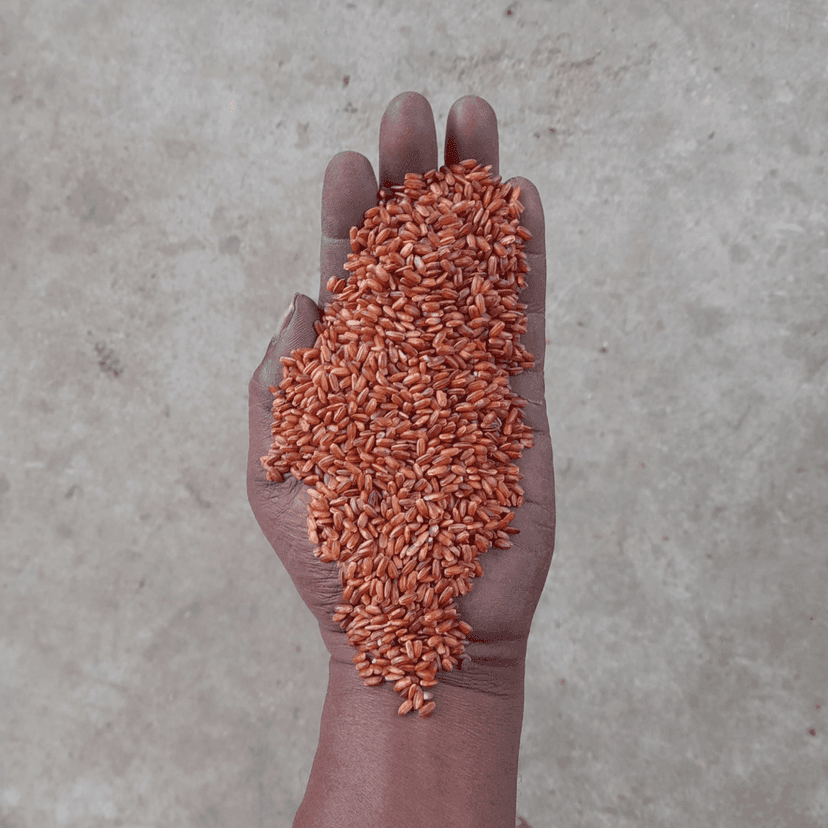 Red Rice | Himalayan (1Kg Bag) view 5