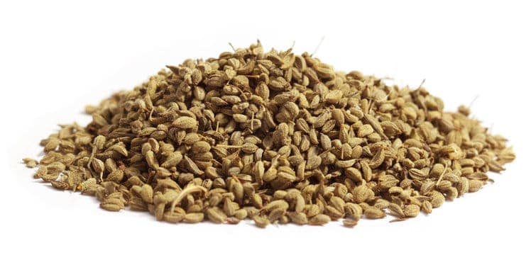 Saunf, Fennel Seeds, Fennel, Sweet Fennel, Foeniculum vulgare view 2