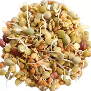 Sprouts - Mixed 250 gms